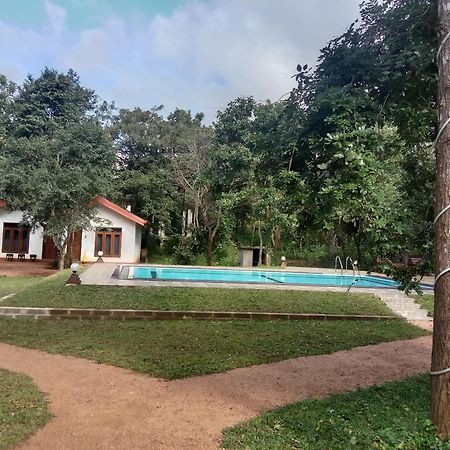 Lion King Jungle Cabanas Sigiriya Exterior photo