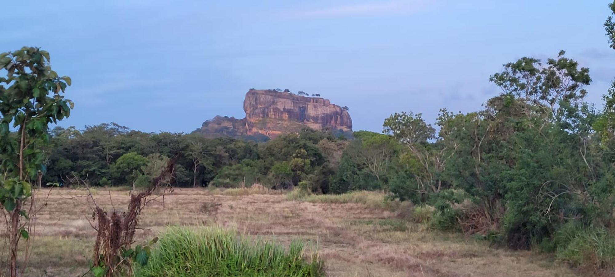 Lion King Jungle Cabanas Sigiriya Exterior photo