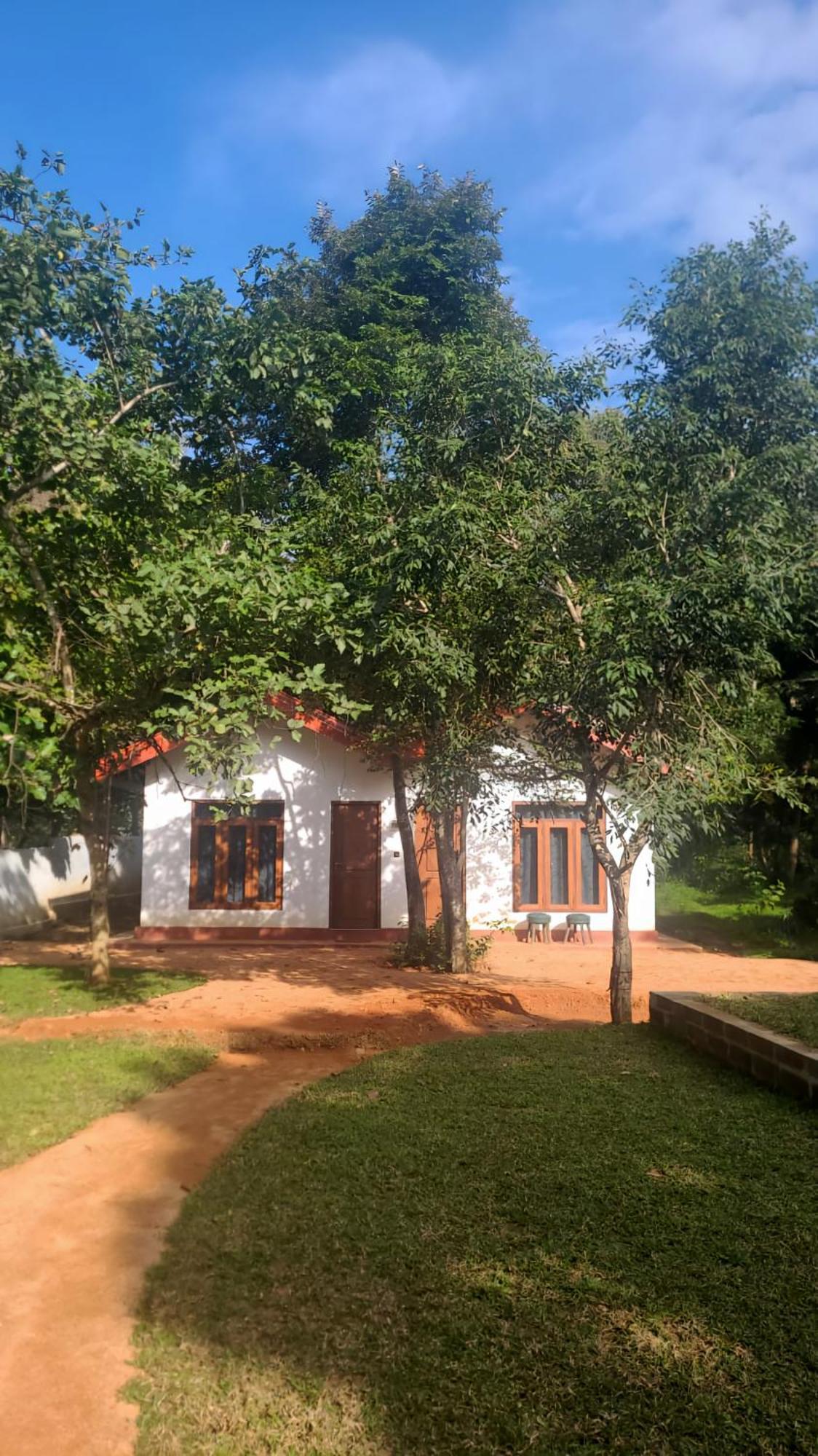 Lion King Jungle Cabanas Sigiriya Exterior photo