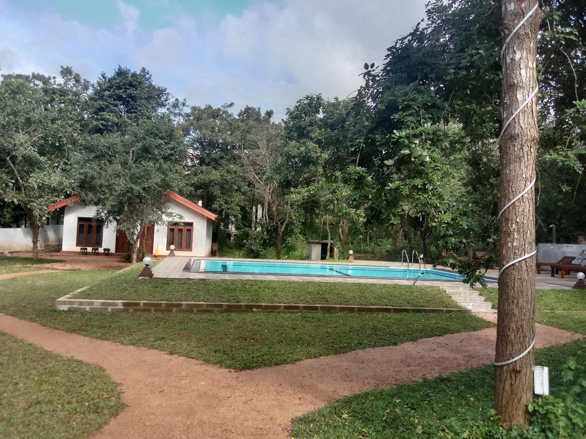 Lion King Jungle Cabanas Sigiriya Exterior photo